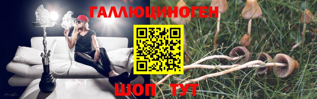 Галлюциногенные грибы Psilocybe  Галлюциногенные грибы мухоморы  Анжеро-Судженск  Вход с VPN 