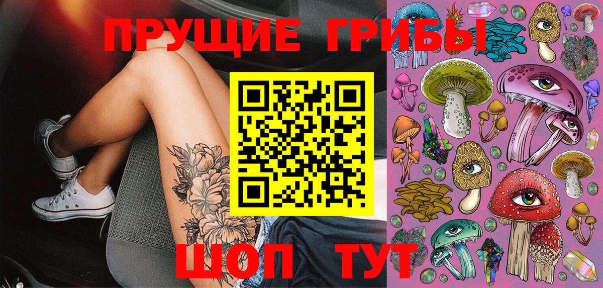Псилоцибиновые грибы мицелий Анжеро-Судженск